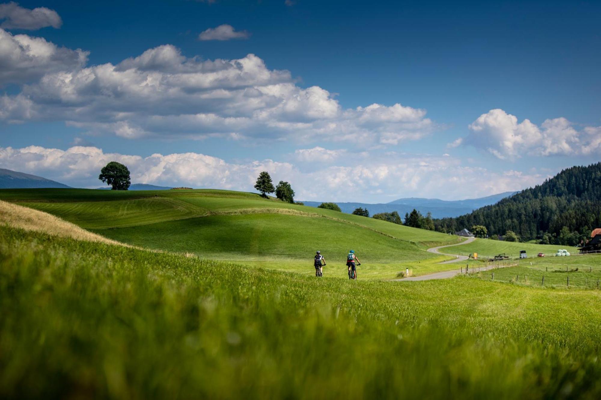 Gartenloft An Der Mur Murau Bagian luar foto
